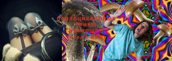 PSILOCYBIN Алзамай